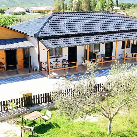 Olive Oasis Studio Berat Exteriör bild