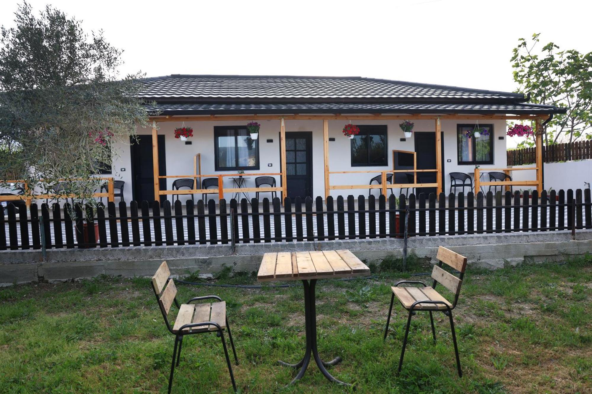 Olive Oasis Studio Berat Exteriör bild