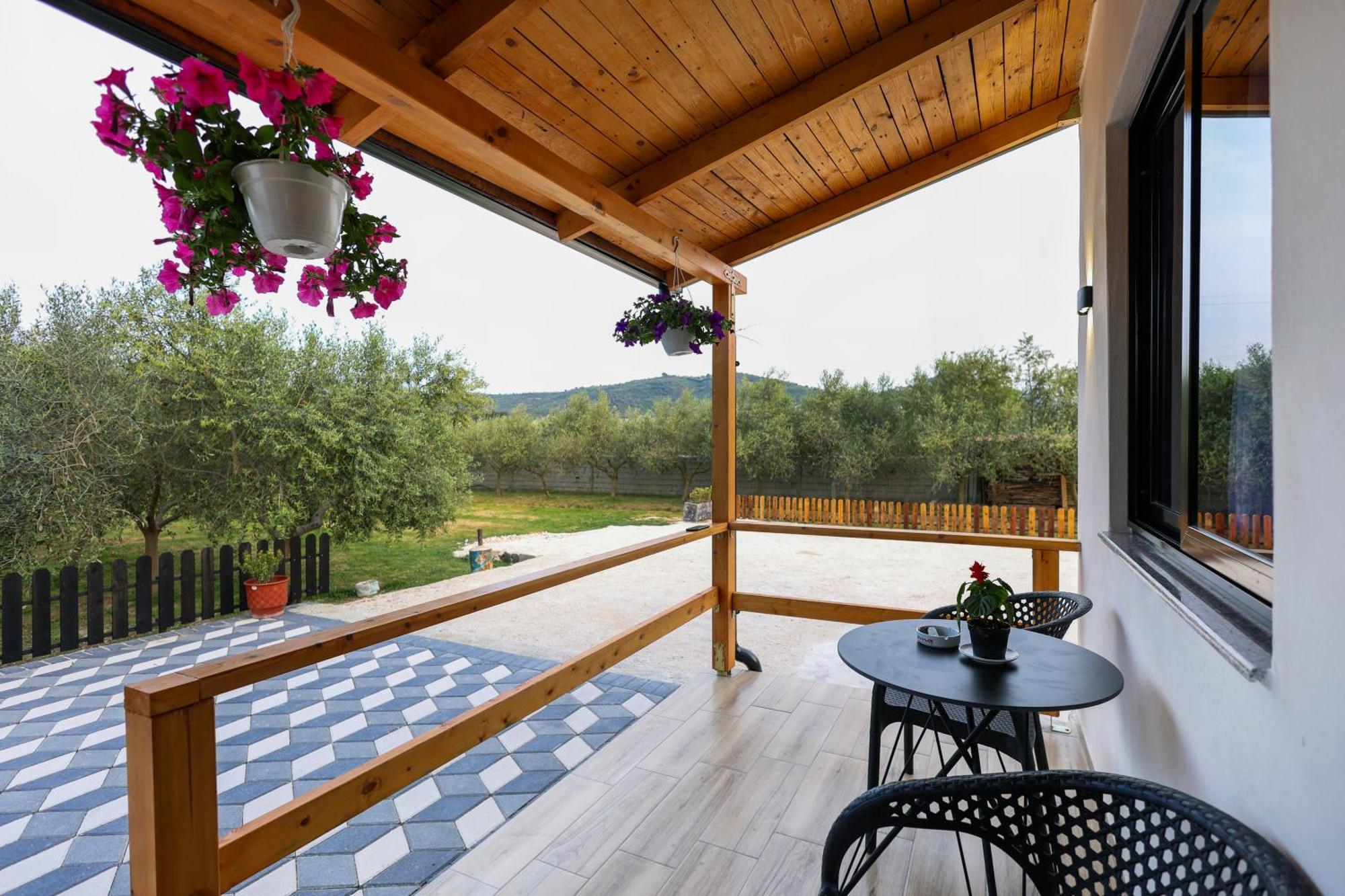 Olive Oasis Studio Berat Exteriör bild